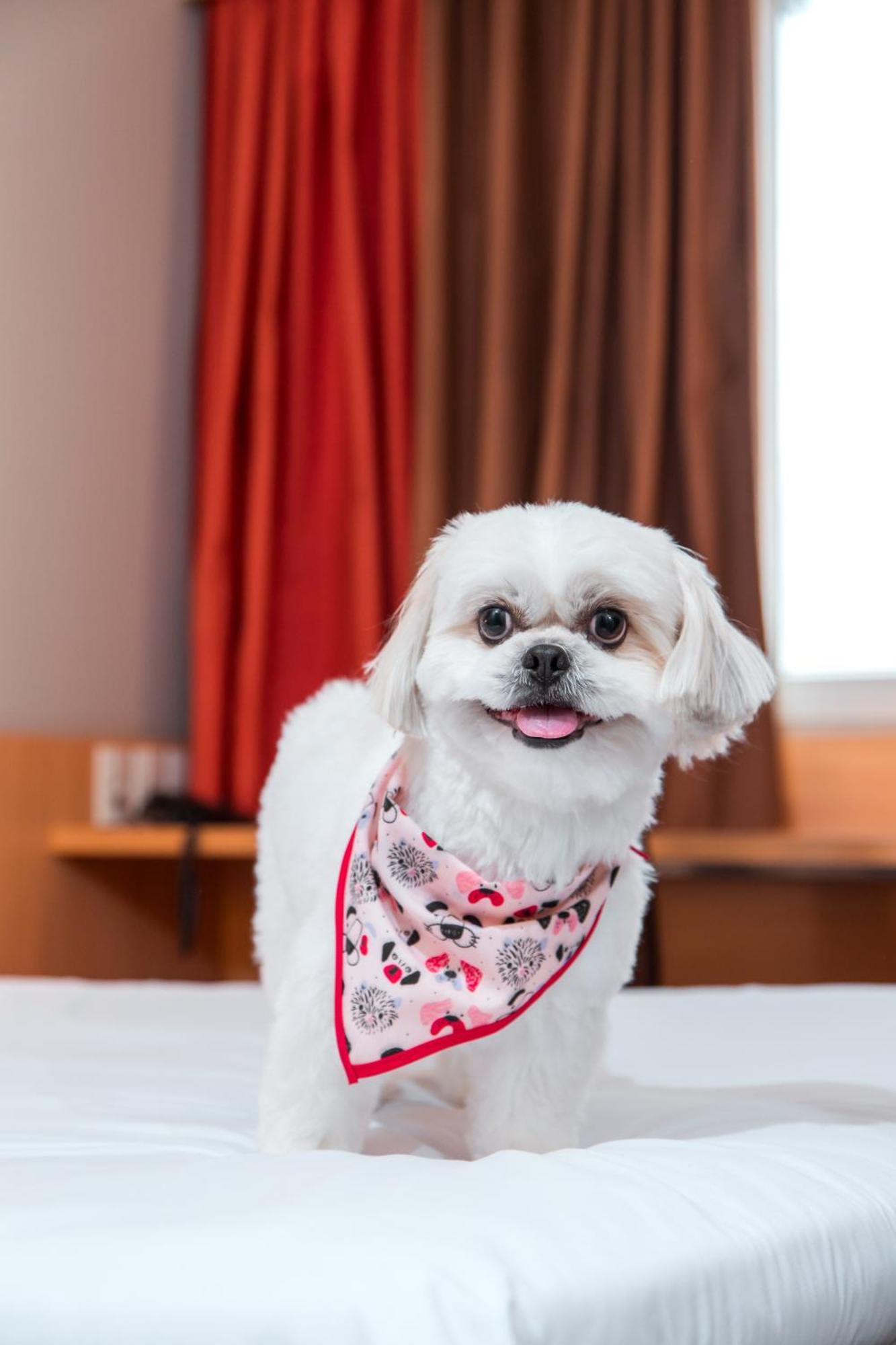 Ibis Presidente Prudente Manoel Goulart Hotel ภายนอก รูปภาพ